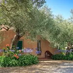 Bed and breakfast Don Gaspano Pace Del Mela