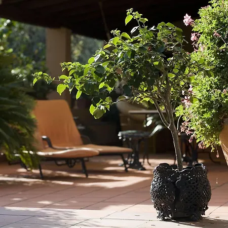 Don Gaspano Bed & Breakfast Pace Del Mela